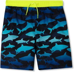 Lands' End Boys Slim Printed Volley Swim Trunks