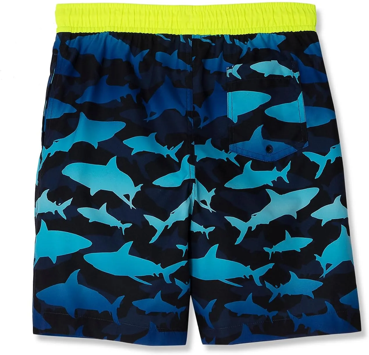 Lands' End Boys Slim Printed Volley Swim Trunks